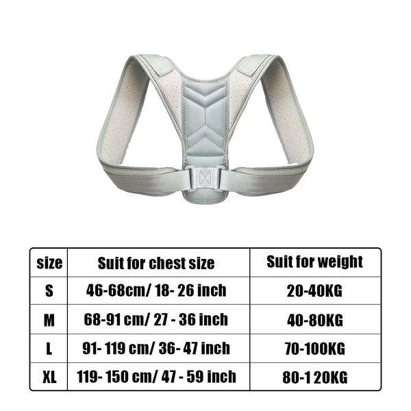 Comfortable Posture Support Belt