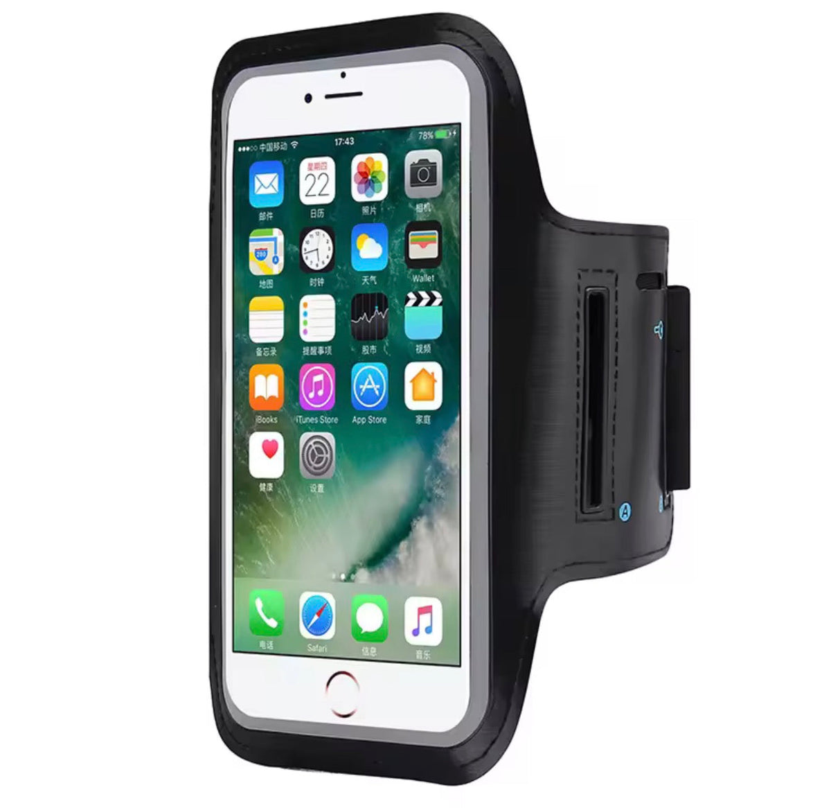 Universal Sports Phone Holder