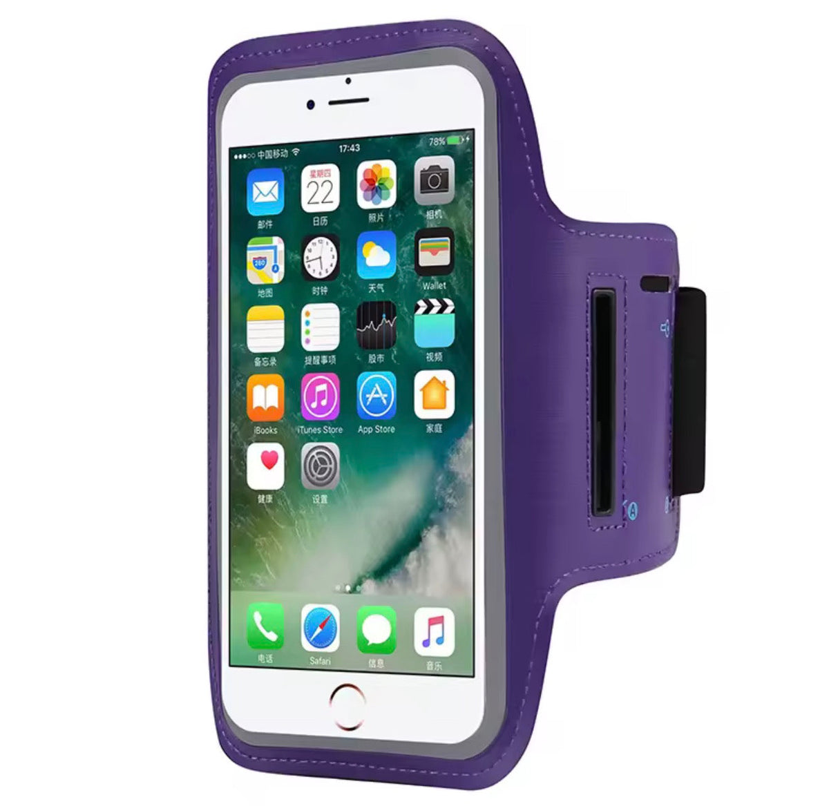 Universal Sports Phone Holder